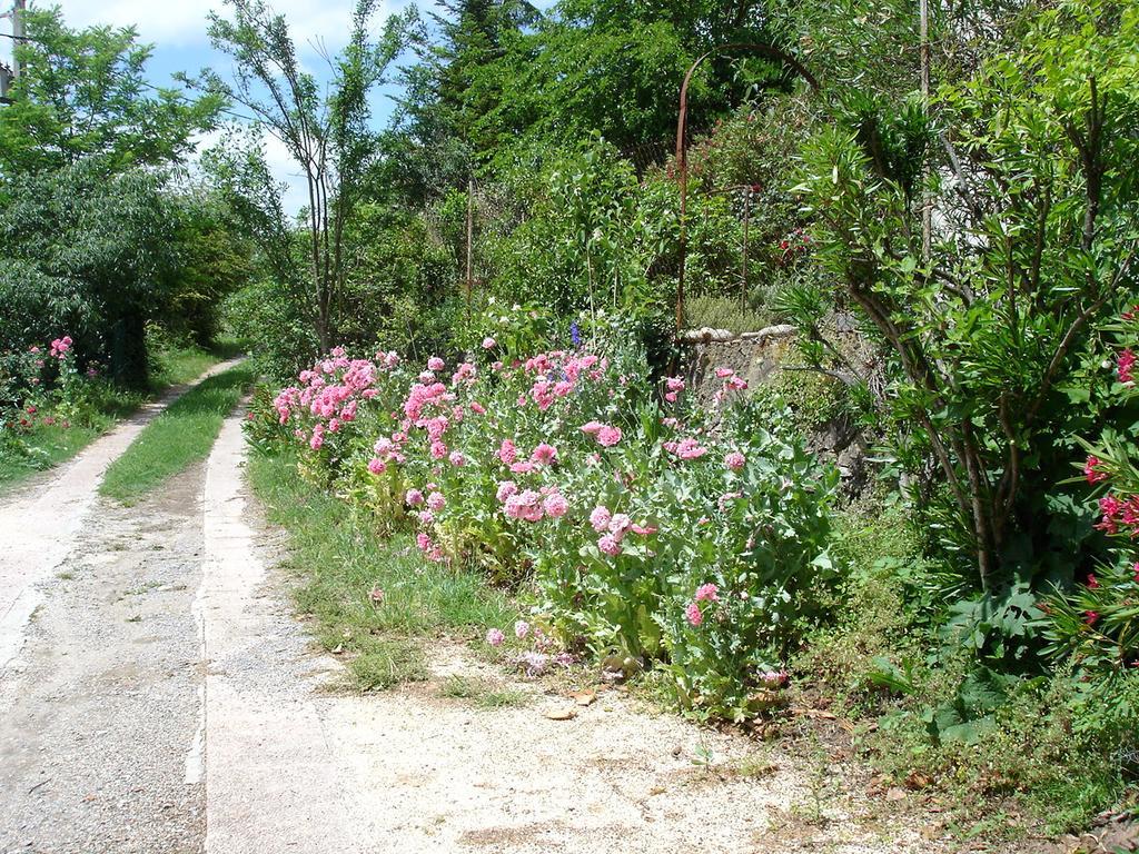 Bed and Breakfast La Colline Bleue Banne Esterno foto